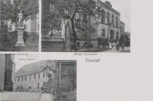 Wschowa liceum - Reprodukcja 11695