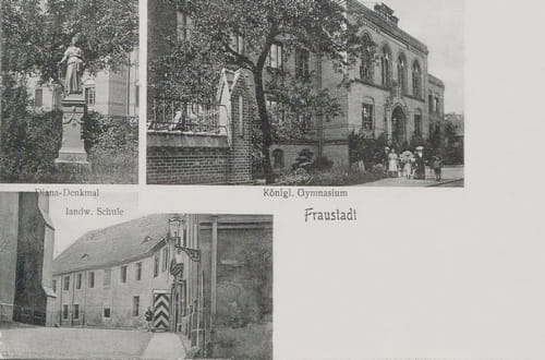 nowe-11695.jpg