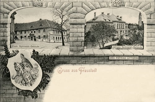 nowe-11697.jpg