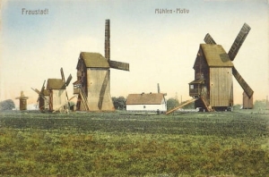 Wschowa wiatraki - Reprodukcja 11723