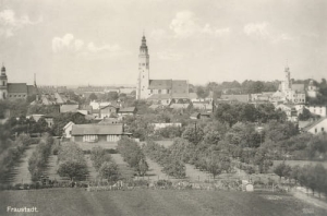 Wschowa panorama - Reprodukcja 11731
