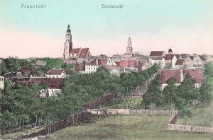 Wschowa panorama - Reprodukcja 11740