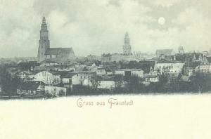 Wschowa panorama - Reprodukcja 11741