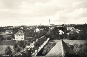 Wschowa panorama - Reprodukcja 11742