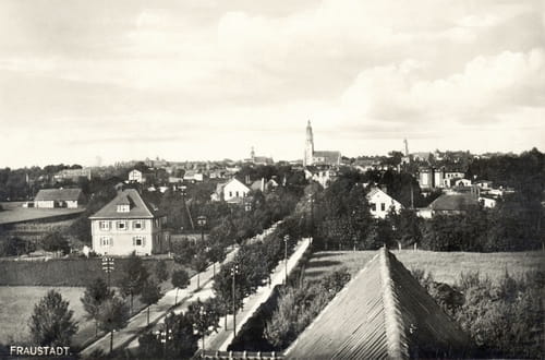 nowe-11742.jpg