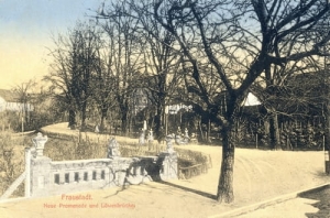 Wschowa park - Reprodukcja 11747