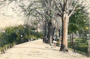 Wschowa park - Reprodukcja 11748