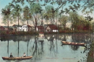 Wschowa Staw -Reprodukcja 11778