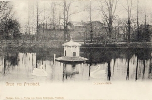 Wschowa Staw -Reprodukcja 11779