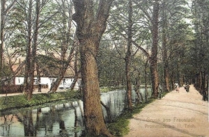 Wschowa Staw park -Reprodukcja 11780