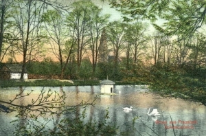 Wschowa Staw park -Reprodukcja 11781