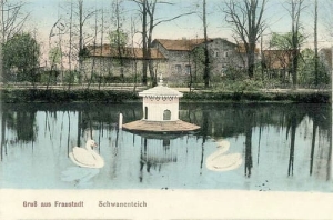 Wschowa Staw -Reprodukcja 11783