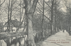 Wschowa Staw park -Reprodukcja 11786