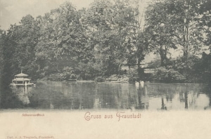 Wschowa Staw -Reprodukcja 11789