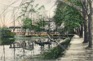 Wschowa Staw -Reprodukcja 11791