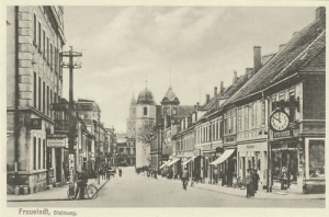 Wschowa Steinweg -Reprodukcja 11801