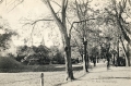 nowe-11818.jpg