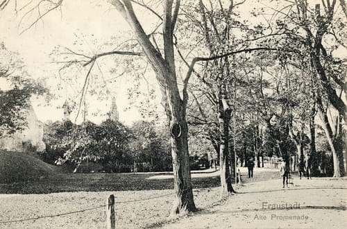 nowe-11818.jpg