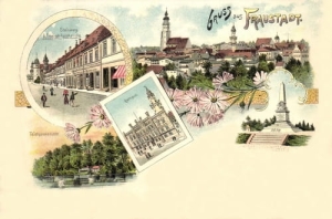 Wschowa Litografia  - Reprodukcja 11859