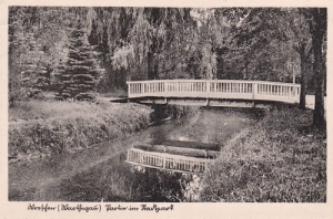 Września park - Reprodukcja 11898