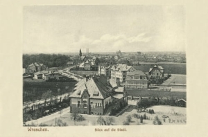 Września Panorama - Reprodukcja 11900