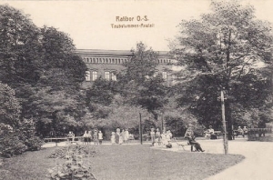 Racibórz ośrodek - Reprodukcja 11916
