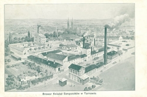 Tarnów Browar - Reprodukcja 12042
