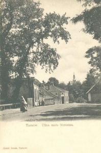 Tarnów ul. Mała Strusina - Reprodukcja 12046