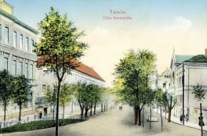 Tarnów ul. Seminarska - Reprodukcja 12087