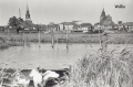 nowe-12109.jpg