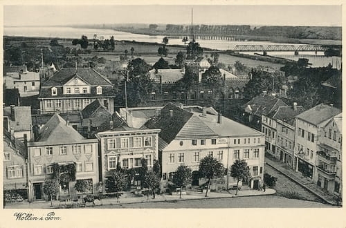 nowe-12118.jpg