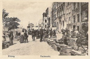 Elbląg Fischmarkt - Reprodukcja 12179