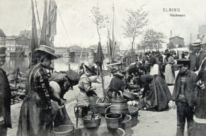Elbląg Fischmarkt - Reprodukcja 12180
