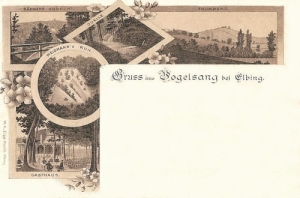 Elbląg widokowa - Reprodukcja 12191