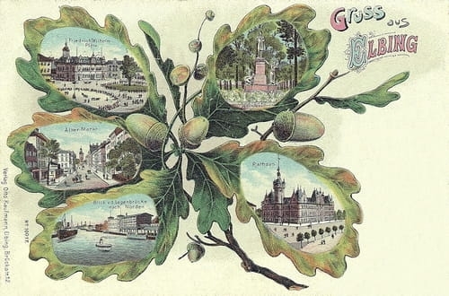 nowe-12226.jpg