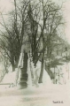 nowe-12248.jpg