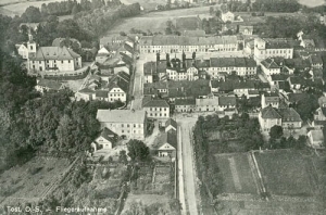 Toszek panorama - Reprodukcja 12250