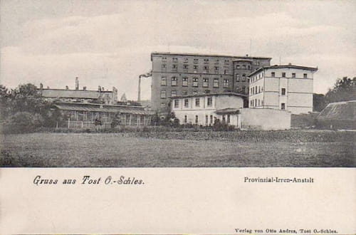 nowe-12256.jpg