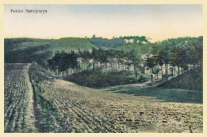 Żerków - Reprodukcja 12289