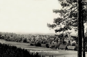 Żerków panorama - Reprodukcja 12294