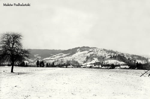 nowe-12310.jpg