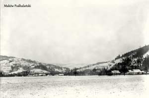 Maków Podhalański - Reprodukcja 12312