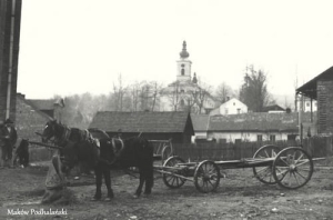 Maków Podhalański - Reprodukcja 12317