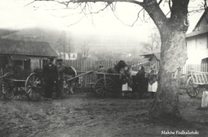 Maków Podhalański - Reprodukcja 12318