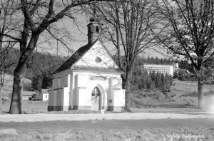 Maków Podhalański - Reprodukcja 12320
