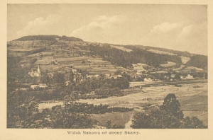 Maków Podhalański - Reprodukcja 12323