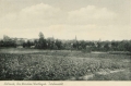 nowe-12345.jpg