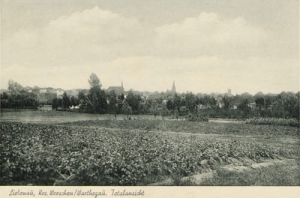 Miłosław panorama -Reprodukcja 12345
