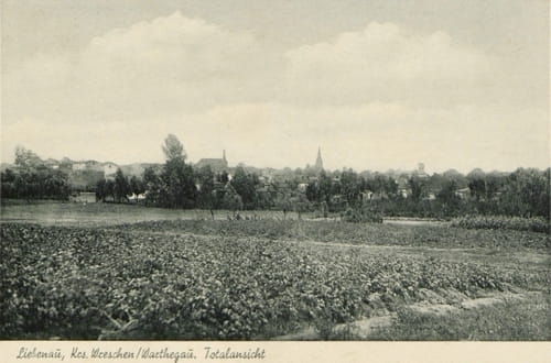 nowe-12345.jpg