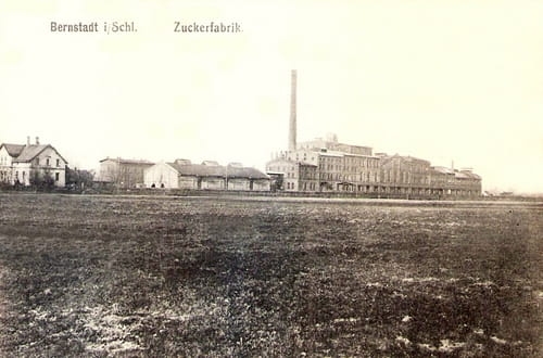 nowe-12354.jpg